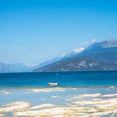 竞彩足球app手机app下载