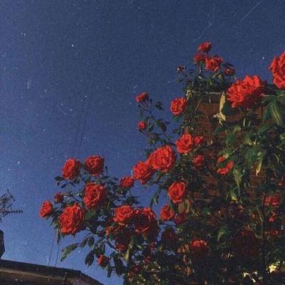 pk10赛车手机app下载