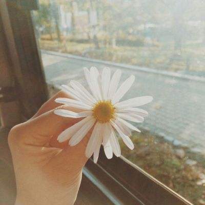 安博APP官网下载地址